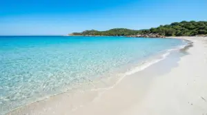 Spiaggia di sabbia bianca con mare turchese e acqua cristallina, costa verde sullo sfondo sotto cielo sereno